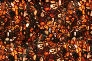 Агат Браун Баклит/Brown Agate Backlit
