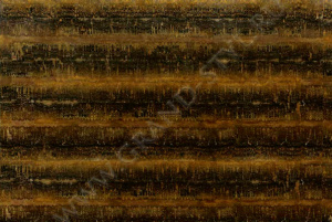 Строматулайт Букмач/Stromatolite Bookmatch 