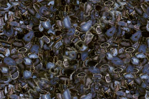Агат Вайлд Блэк/Wilde Agate Black  